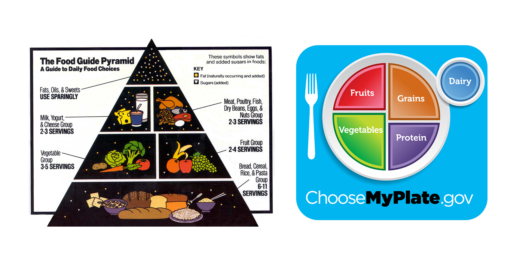 replacing-the-food-pyramid-with-myplate-part-4-mymedicalforum